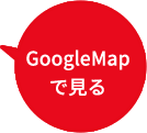 GoogleMapŌ